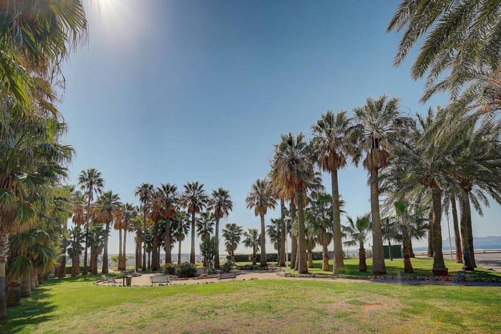 Le Palm - 100M Plage - Croisette - Verriere Cote D'Azur Apartment Кан Екстериор снимка